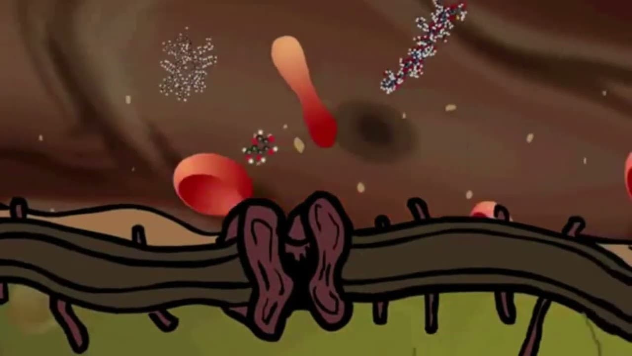 How do insulin work at cellular level