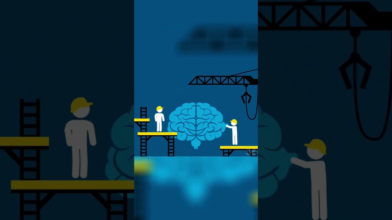 what is #Neuroplasticity? #medicaleducation #science #nerve