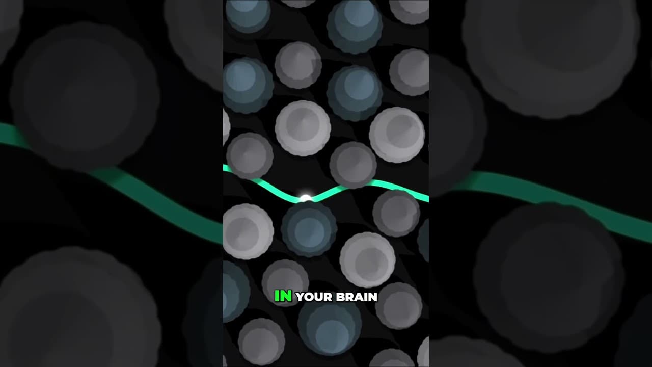 How muscle memory works? #neuroscience #neurology #medicaleducation #science