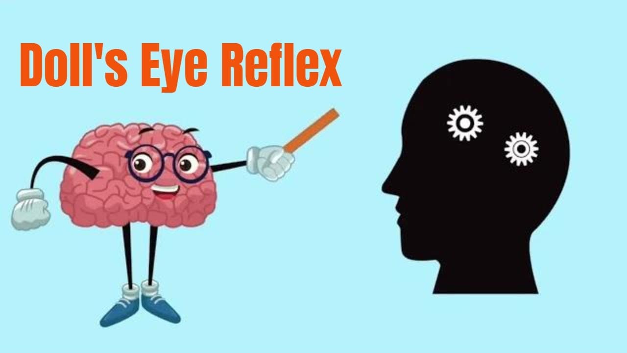 Doll's eye reflex in comatose patient