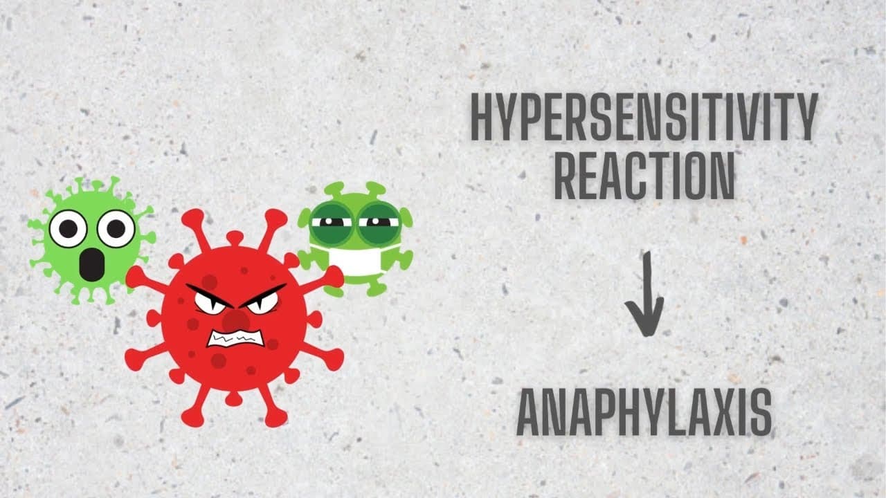 Anaphylactic shock: what is it? Hypersensitivity at cellular level