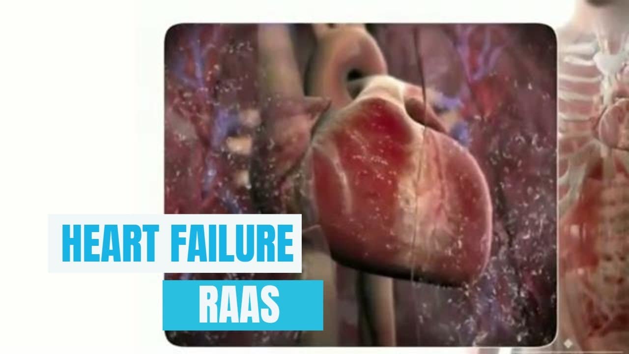 Heart Failure and RASS (Renin angiotensin Aldosterone system): 3D animation