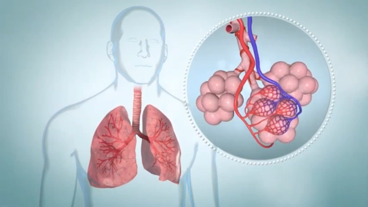 COPD: How It Affects the Lungs, Symptoms and Stages