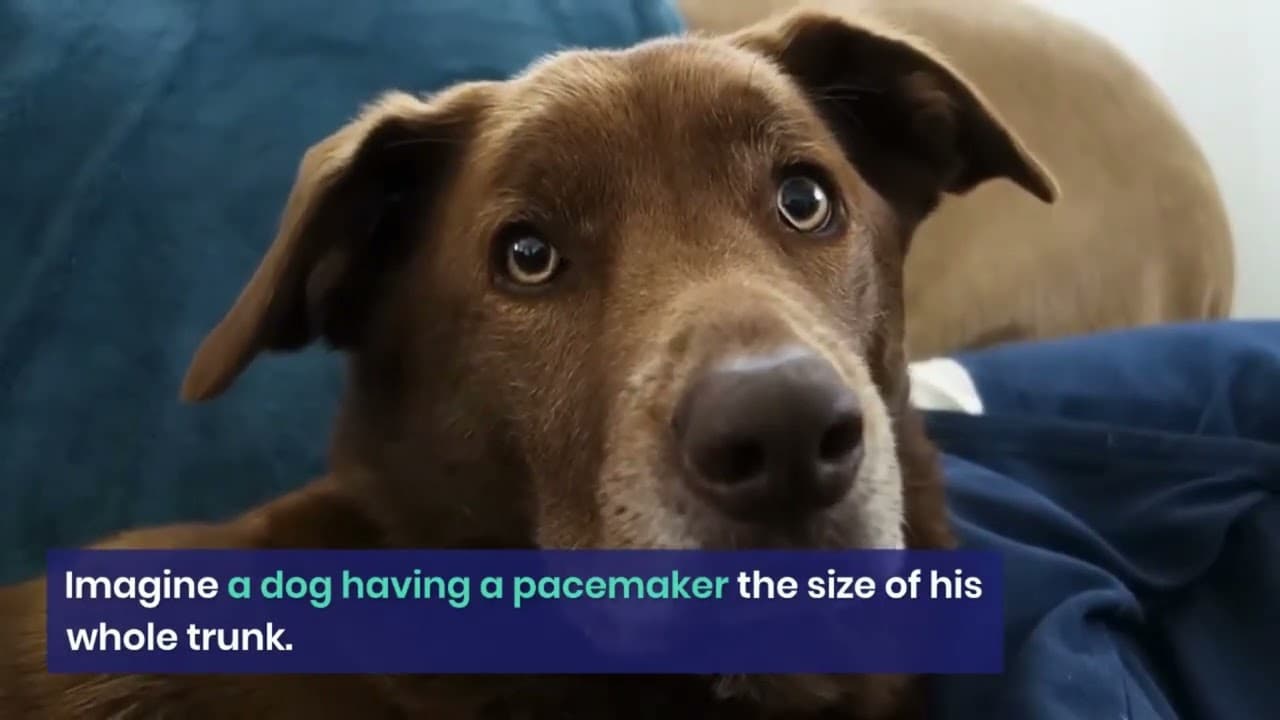 Invention of artificial cardiac pacemaker