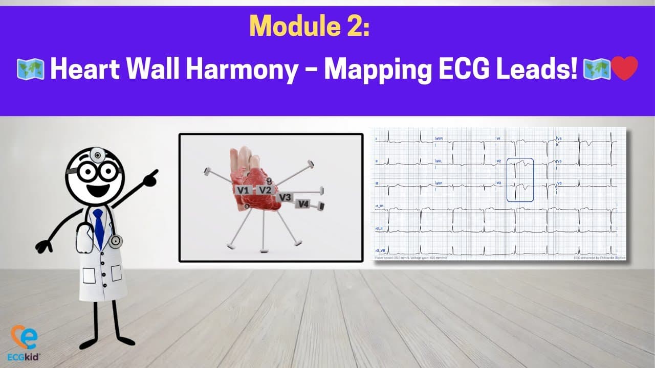 Module 2: Mapping Heart Walls with ECG Leads | ECG Code Pro
