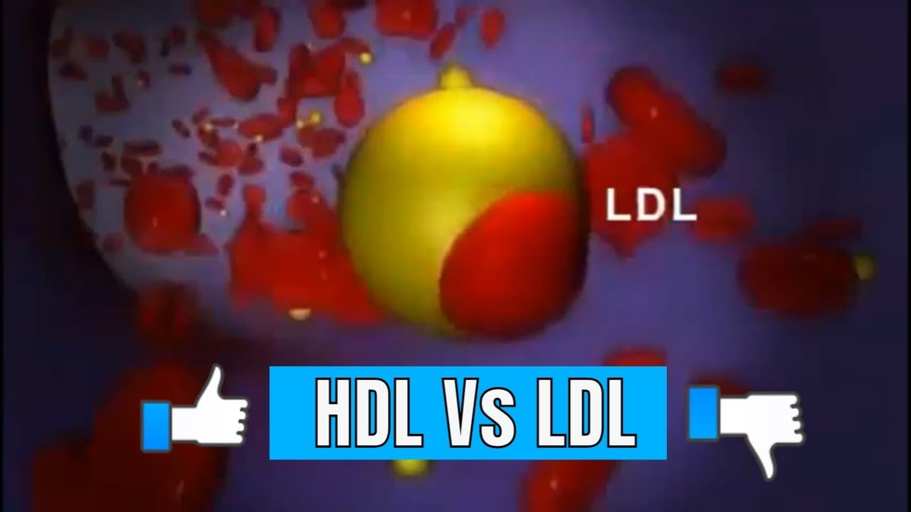 Good & Bad #Cholesterol: (#HDL and #LDL)