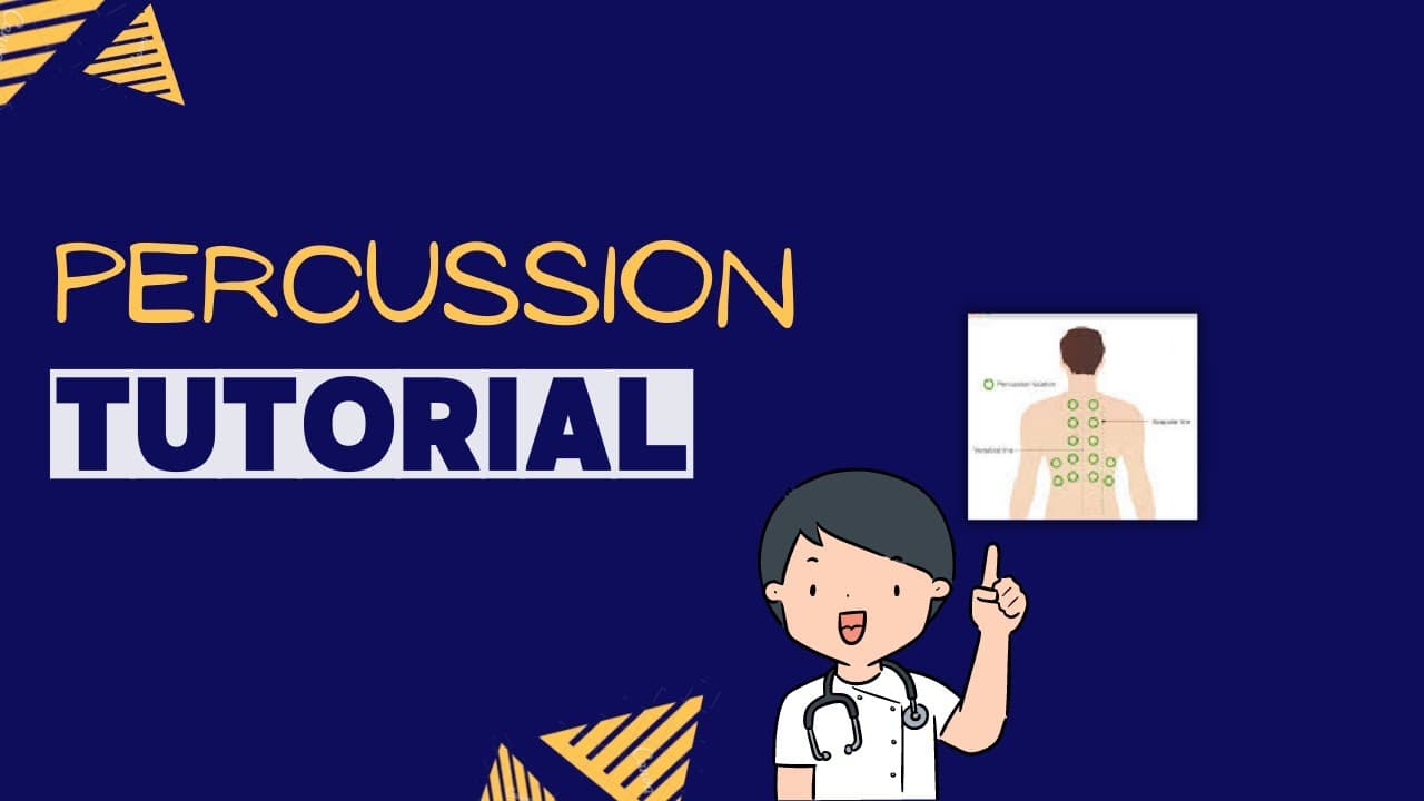 Chest Percussion technique : clinical examination