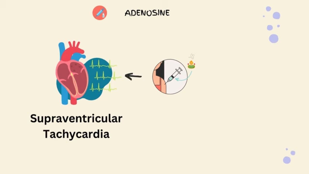 Adenosine: Superhero of emergency medicine | Pharmacokinetics, use & administration