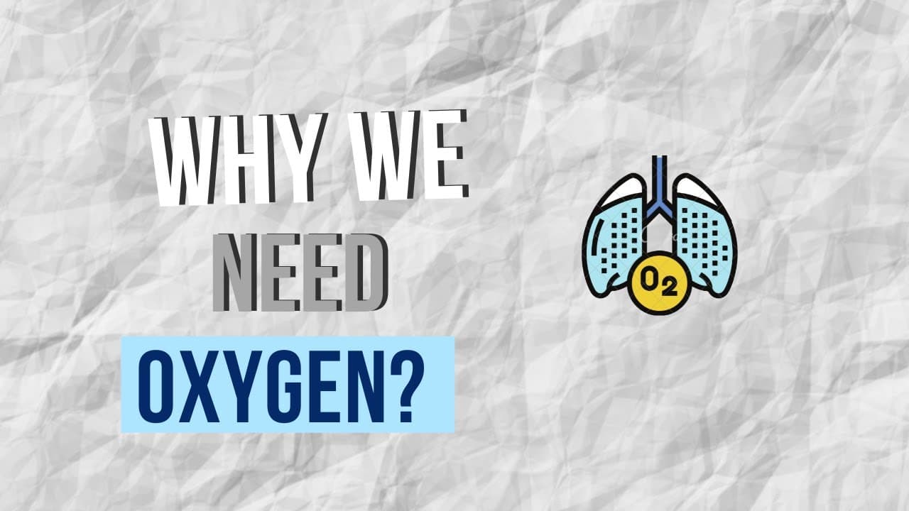 Why do we need Oxygen?
