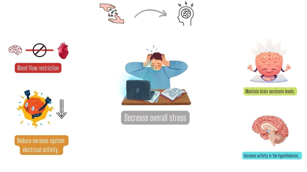 How Beta-Blockers helps in migraine Headache?