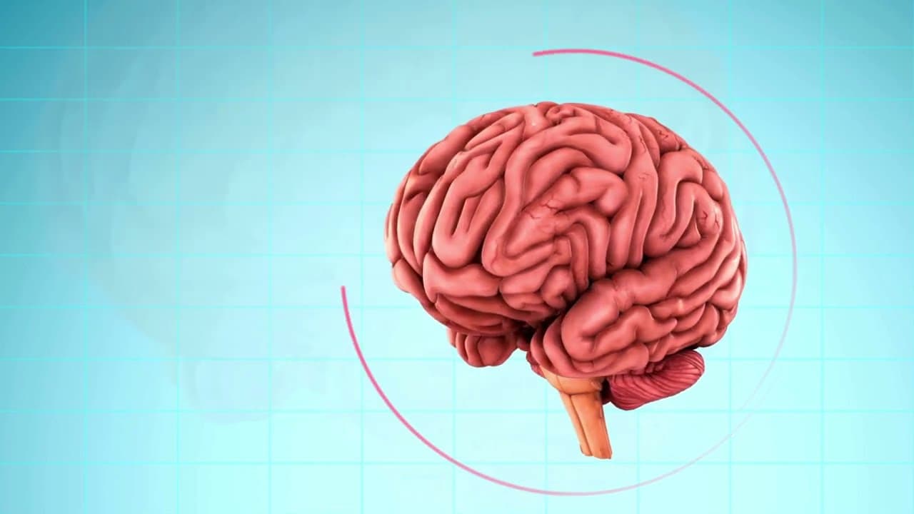 VIRAL ENCEPHALITIS : Causes, pathophysiology, symptoms, diagnosis & treatment