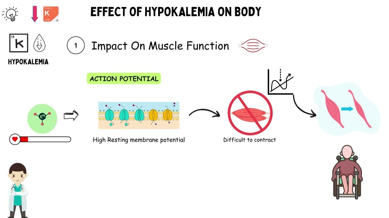 Effect Of Hypokalemia (Low Blood Potassium) on our Body