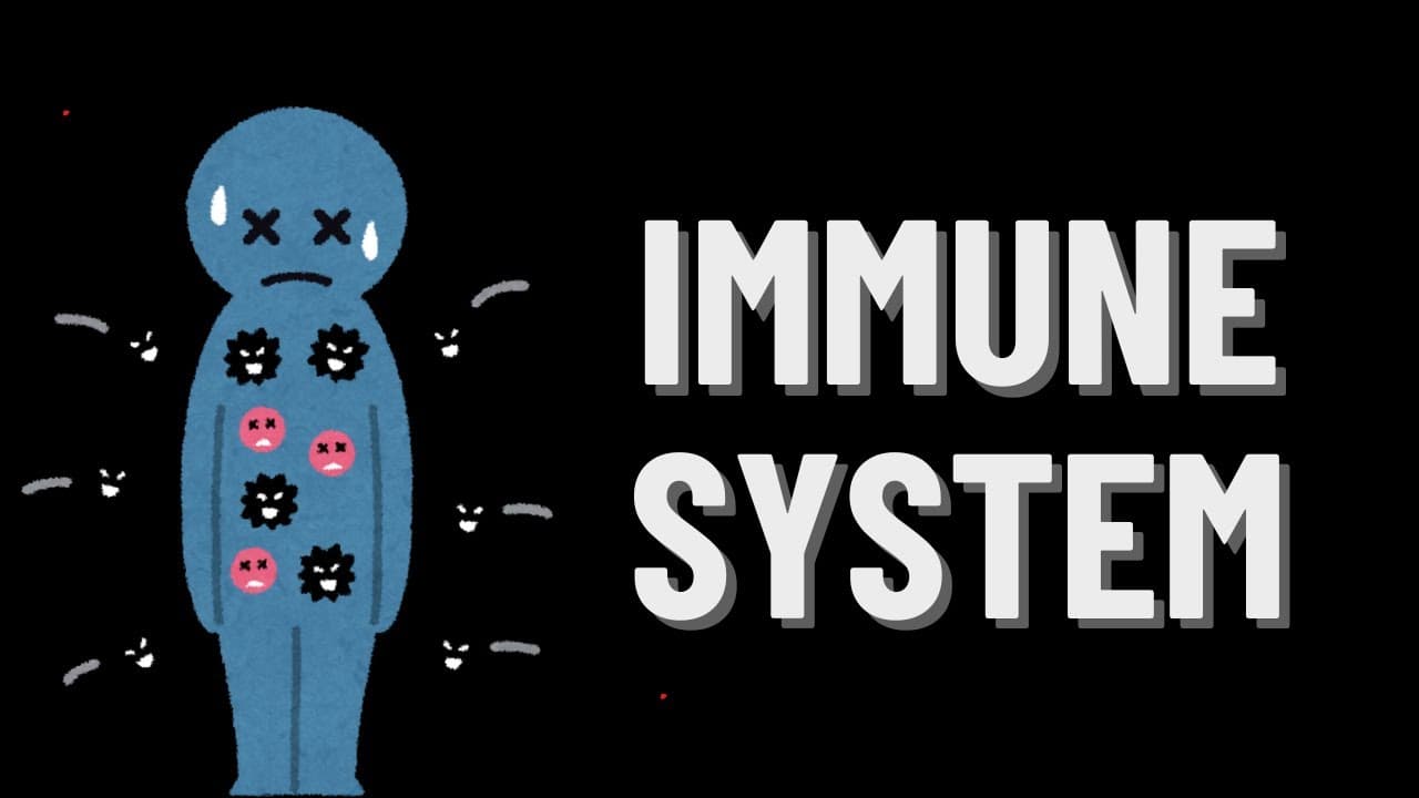 The Basics of Immunity: A Simplified Breakdown!