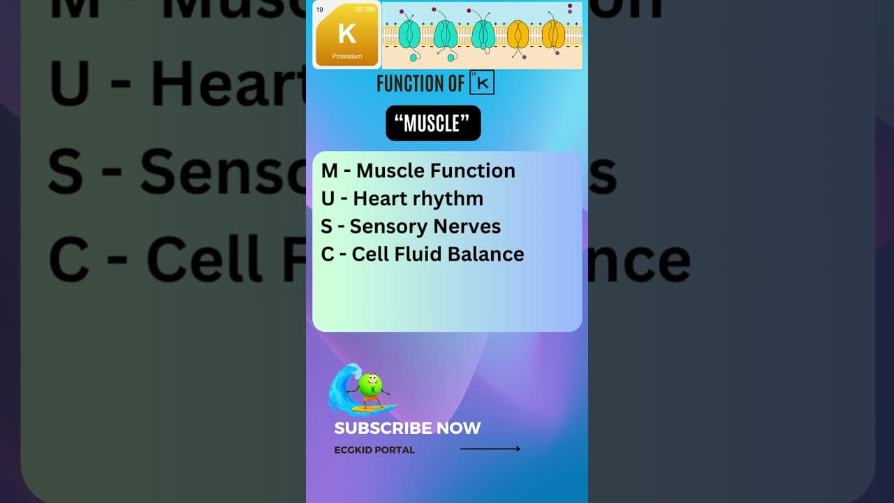 Easy way to remember function of potassium in our body #icu #ecg #emergencymedicine #hypokalemia